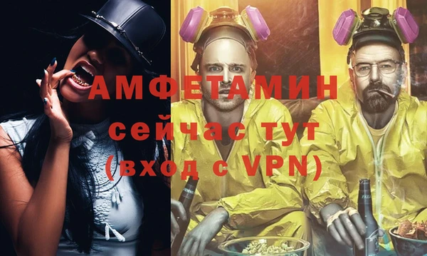молекула духа Новозыбков