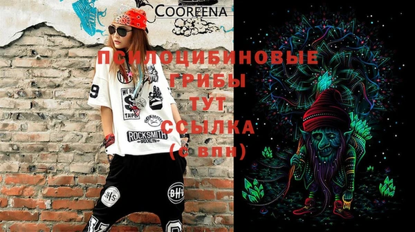 2c-b Нязепетровск