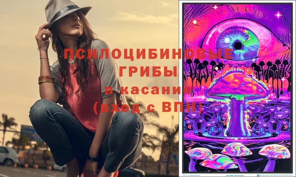 2c-b Нязепетровск