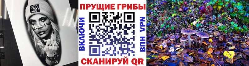 купить закладку  Большой Камень  Галлюциногенные грибы ЛСД 