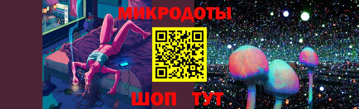 Галлюциногенные грибы прущие грибы  Галлюциногенные грибы Psilocybe  цены   Большой Камень 